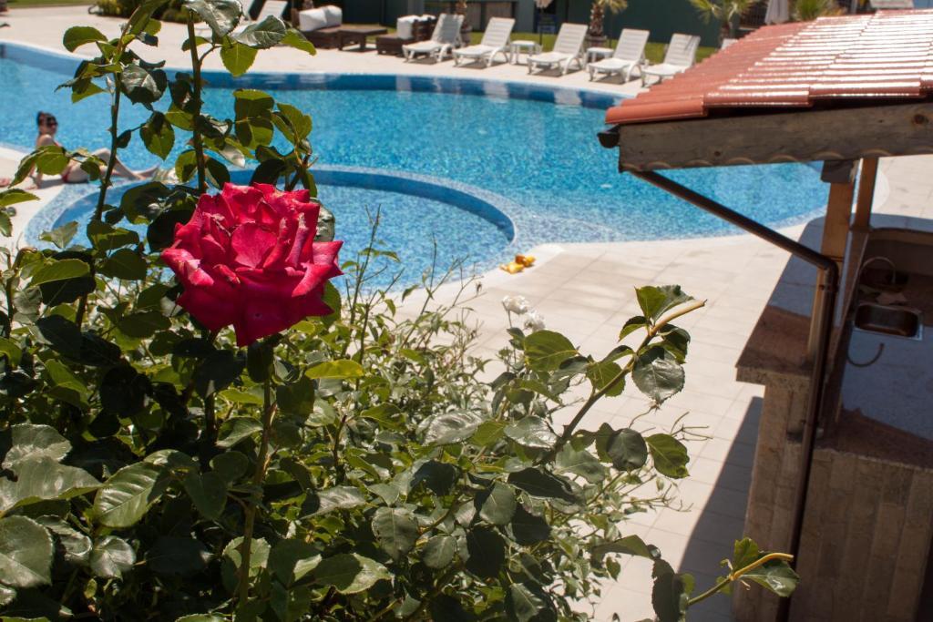 Gardenia Vacation Settlement Aparthotel Sozopol Bagian luar foto